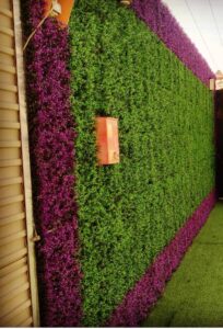 عشب جداري حفر الباطن - اكاسيا لاند سكيب لتنسيق الحدائق