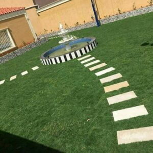 عشب طبيعي الاحساء - اكاسيا لاند سكيب لتنسيق الحدائق
