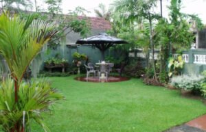 عشب طبيعي الطائف - اكاسيا لاند سكيب لتنسيق الحدائق