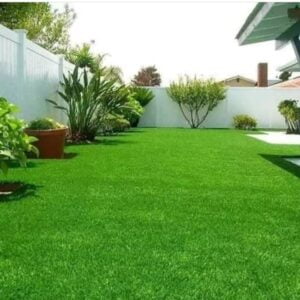 عشب طبيعي المدينة المنورة - اكاسيا لاند سكيب لتنسيق الحدائق