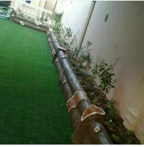 عشب طبيعي جدة - اكاسيا لاند سكيب لتنسيق الحدائق